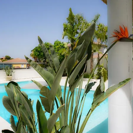 Апартаменты Thani Holidays
